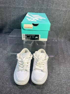 Size 6 Men’s - Nike Dunk Pro Low White Ice 304292-100 Rare 2014